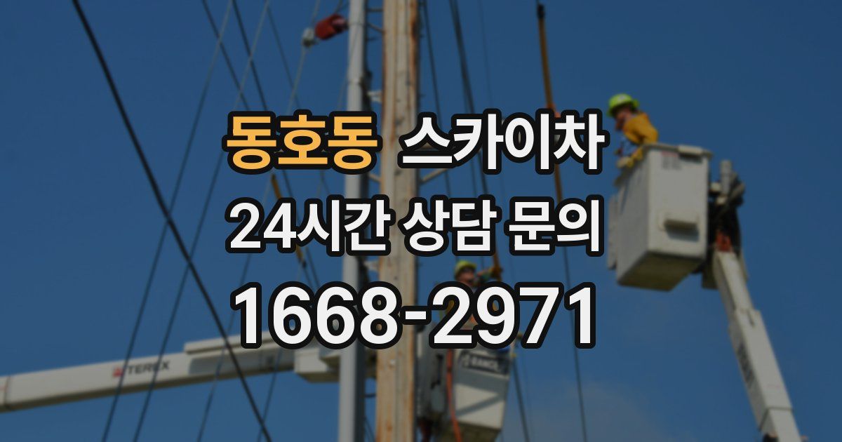 동호동 스카이차