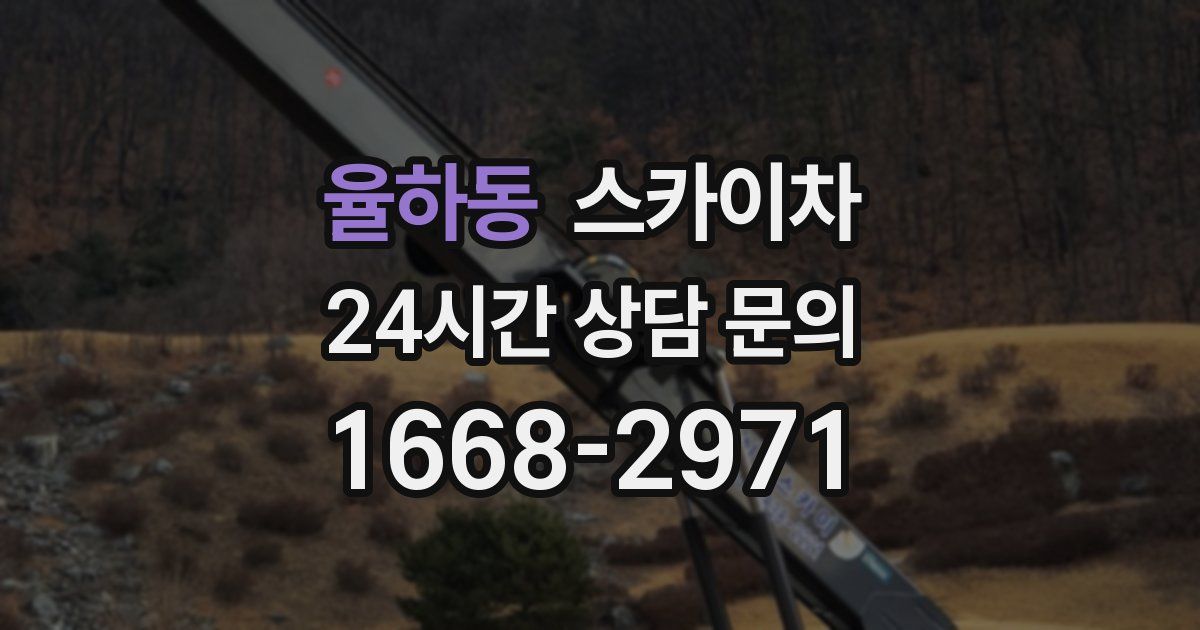 율하동 스카이차
