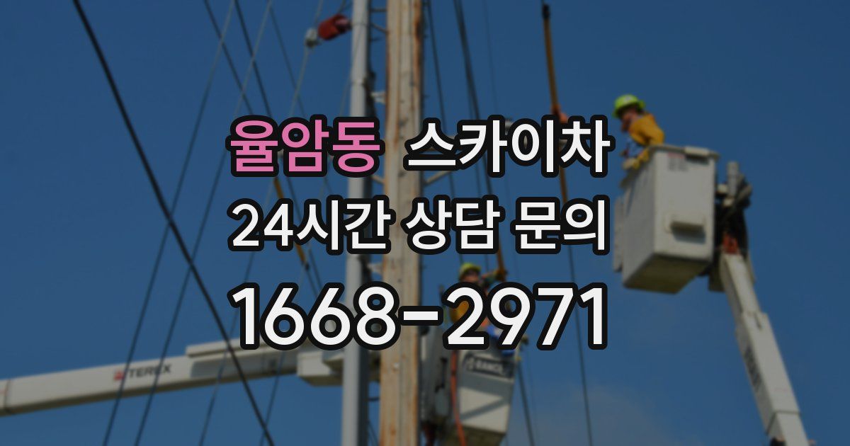 율암동 스카이차