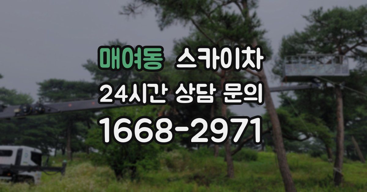 매여동 스카이차