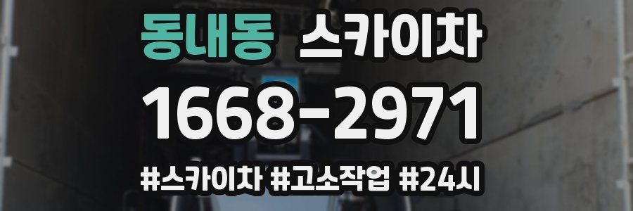 동내동 스카이차
