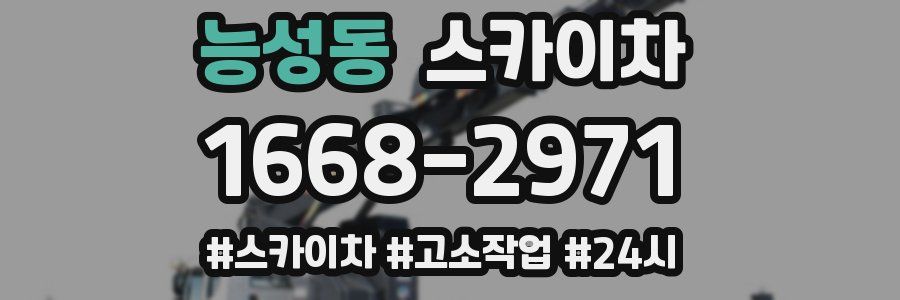 능성동 스카이차