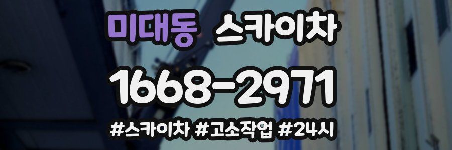 미대동 스카이차
