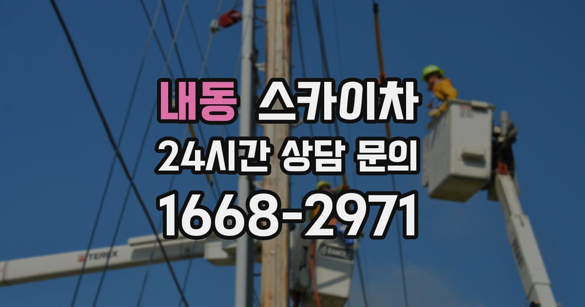 내동 스카이차