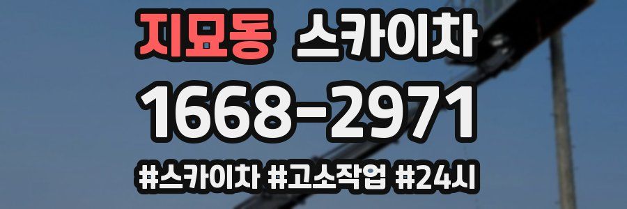 지묘동 스카이차
