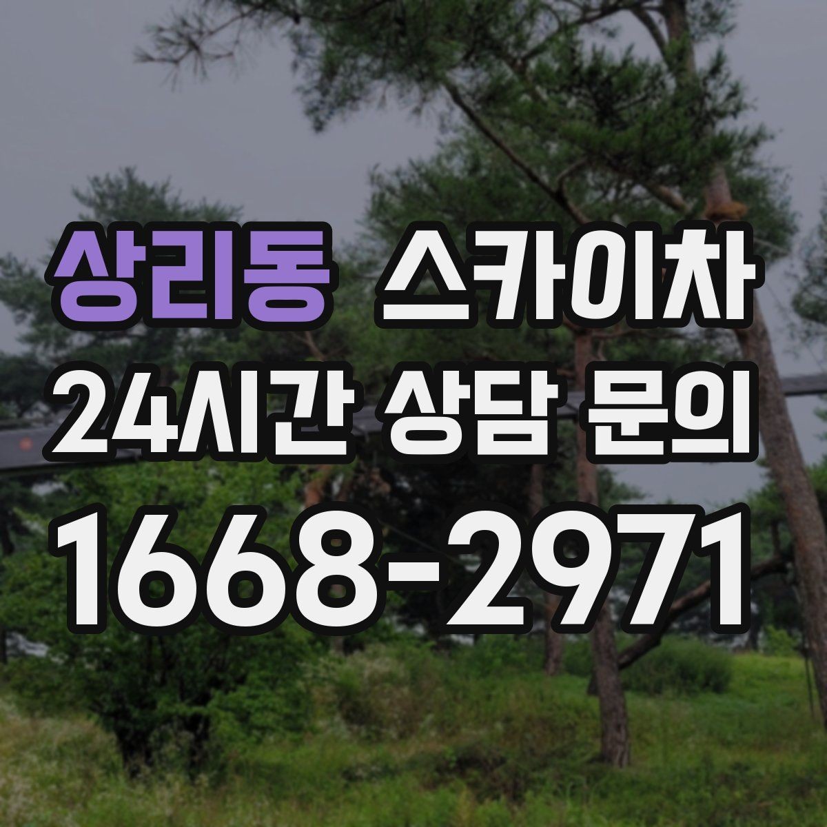상리동 스카이차 가로수 가지치기 작업 안전하게