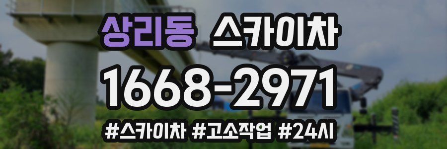 상리동 스카이차