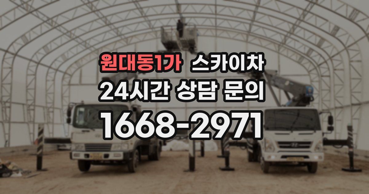 원대동1가 스카이차