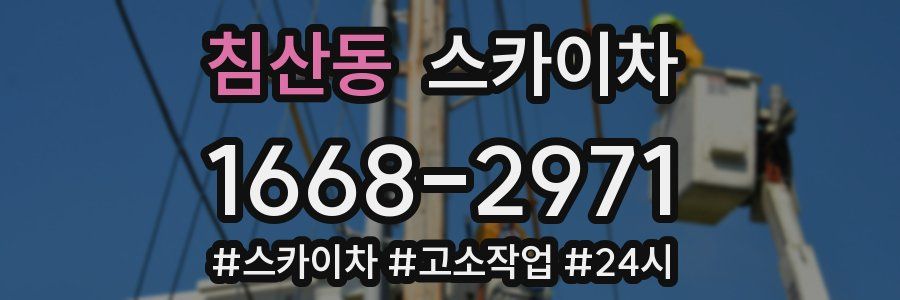 침산동 스카이차