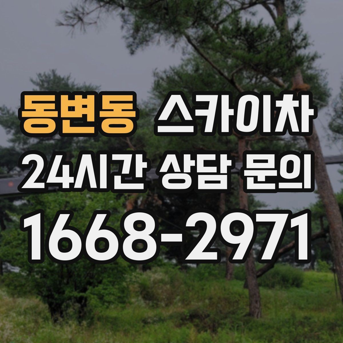 동변동 스카이차 간판 조명 교체로 야간 시인성 높이기