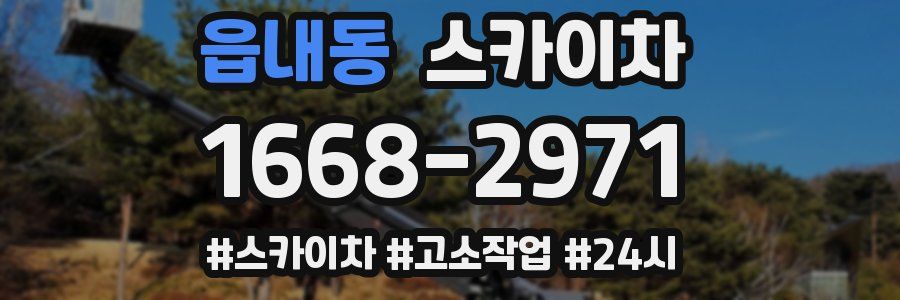 읍내동 스카이차