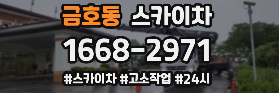 금호동 스카이차