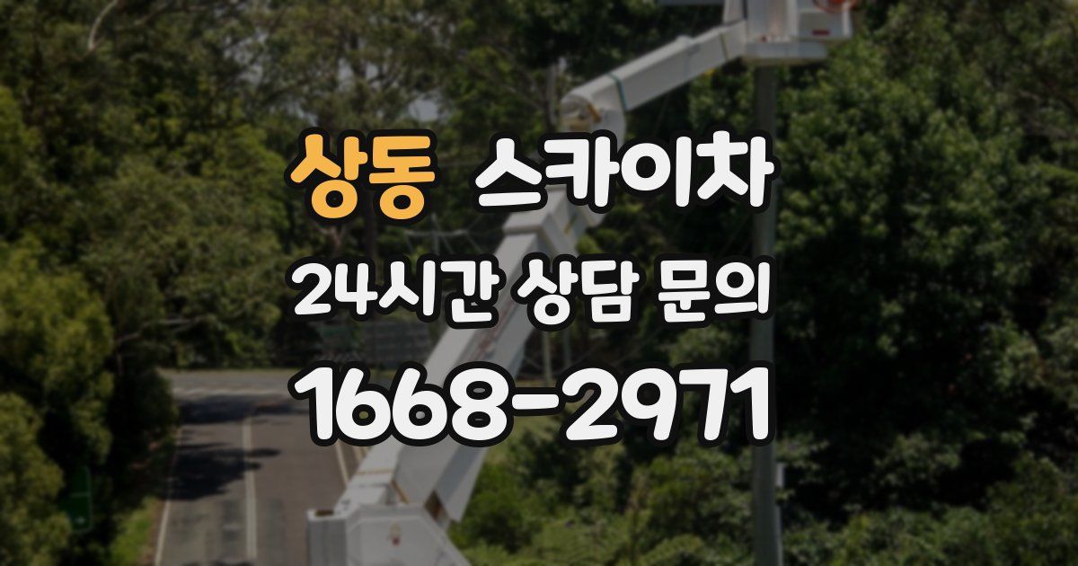 상동 스카이차