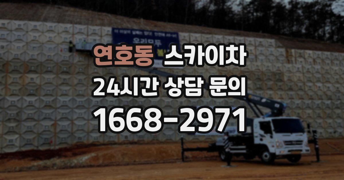 연호동 스카이차