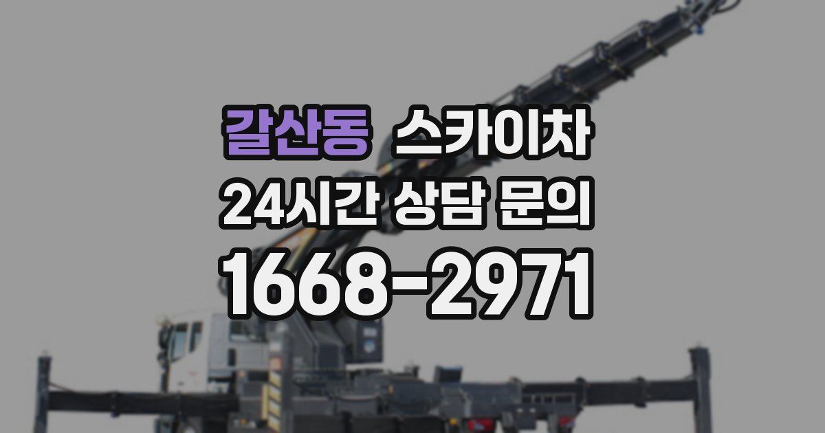 갈산동 스카이차