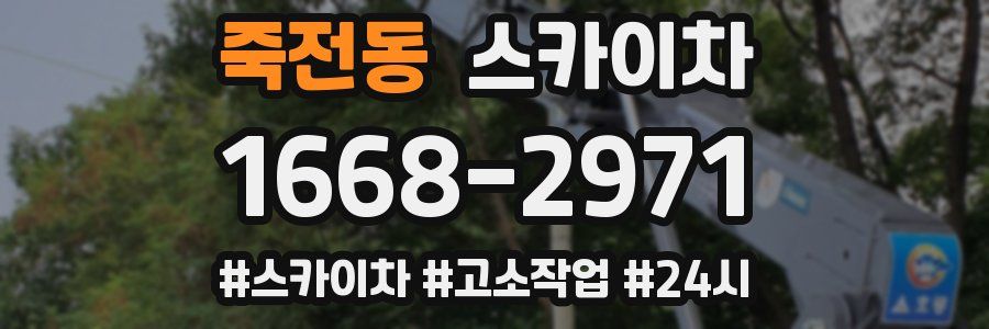 죽전동 스카이차