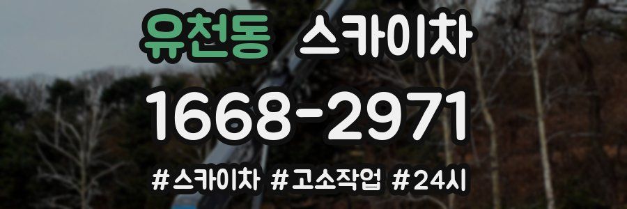 유천동 스카이차
