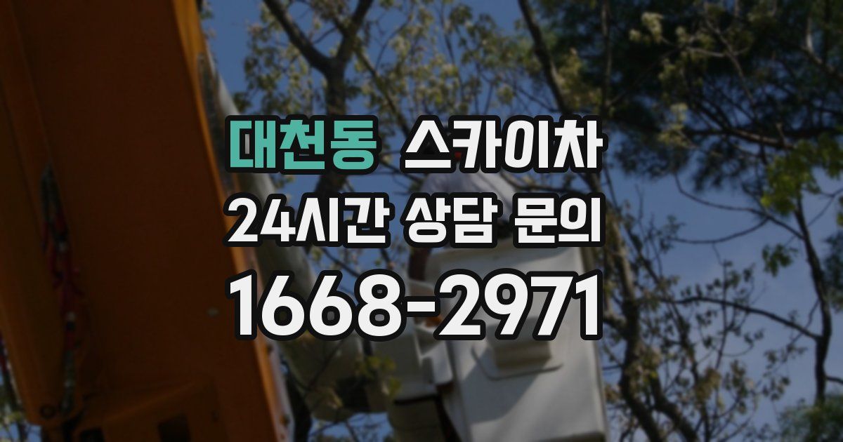 대천동 스카이차