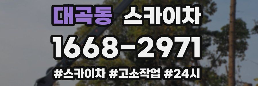 대곡동 스카이차