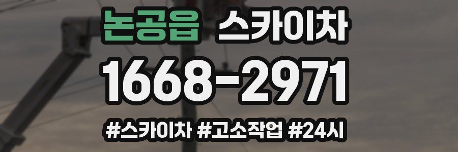 논공읍 스카이차