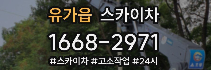 유가읍 스카이차