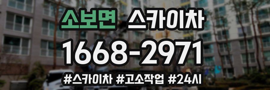 소보면 스카이차