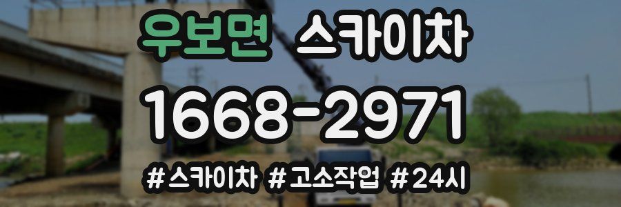 우보면 스카이차