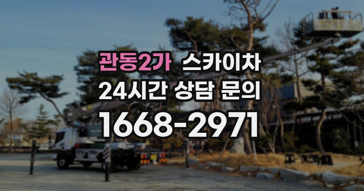 관동2가 스카이차
