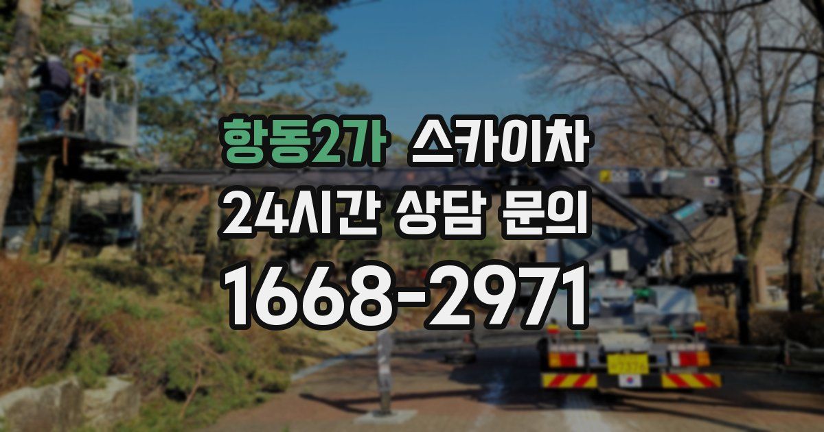 항동2가 스카이차