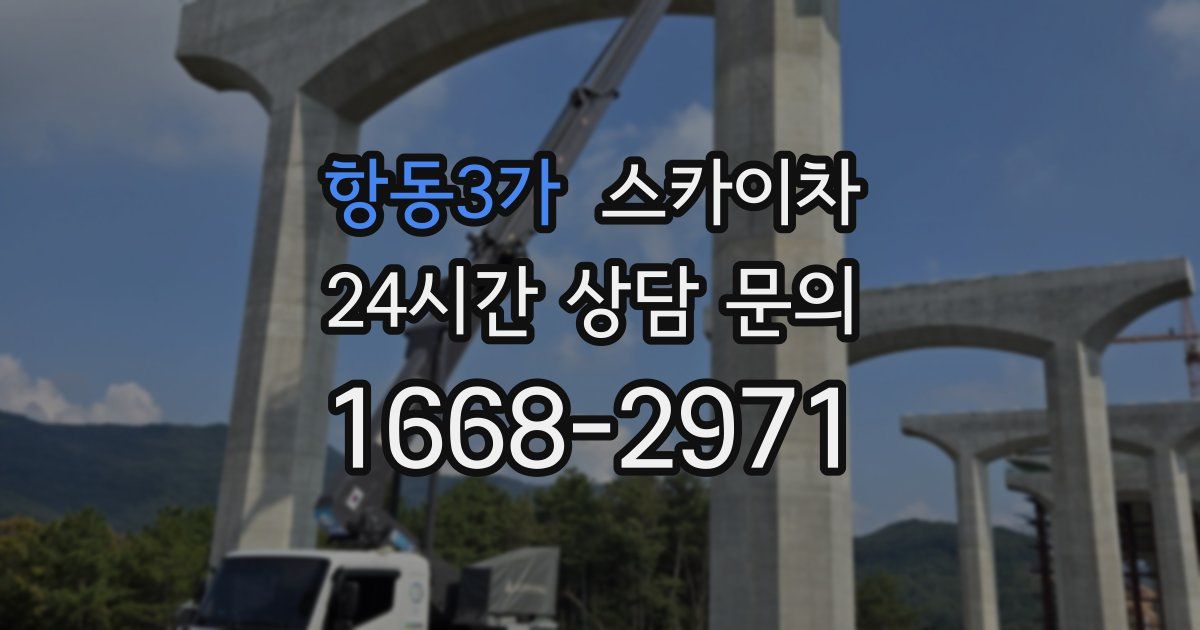 항동3가 스카이차