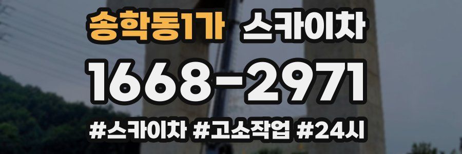 송학동1가 스카이차