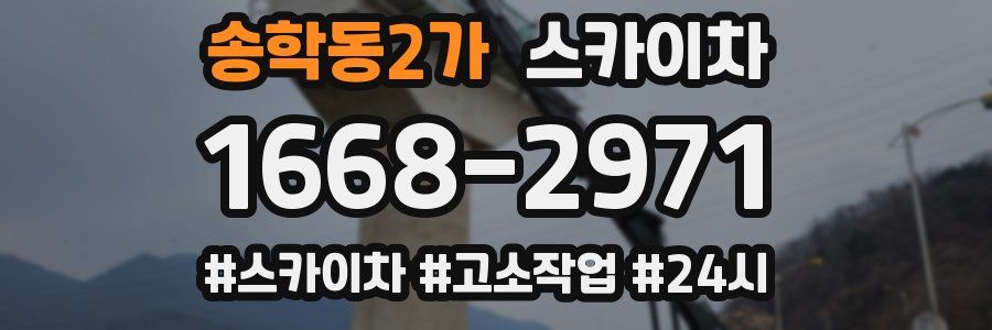 송학동2가 스카이차