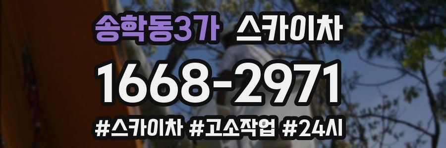 송학동3가 스카이차