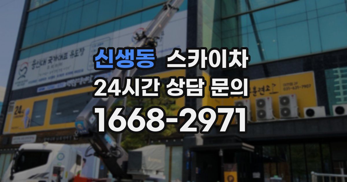 신생동 스카이차