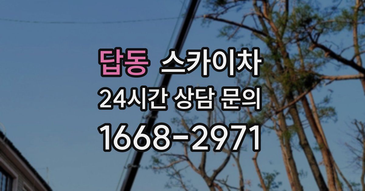 답동 스카이차