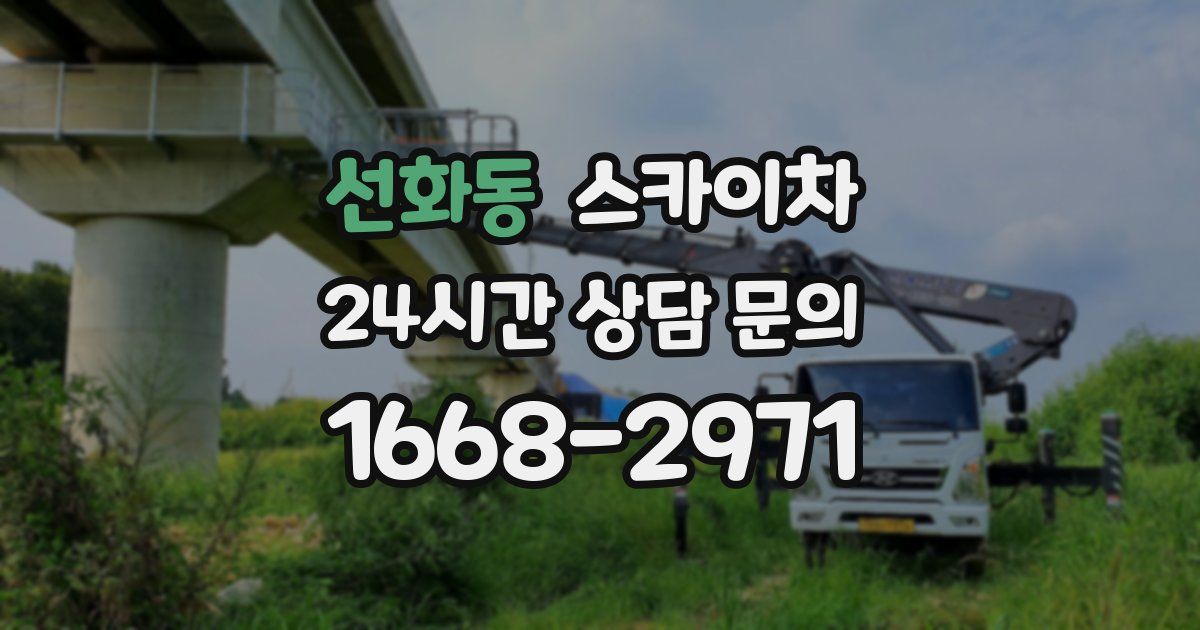 선화동 스카이차