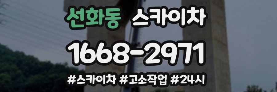 선화동 스카이차