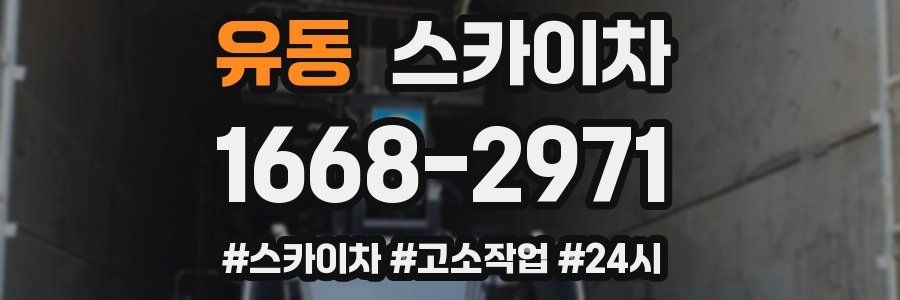 유동 스카이차