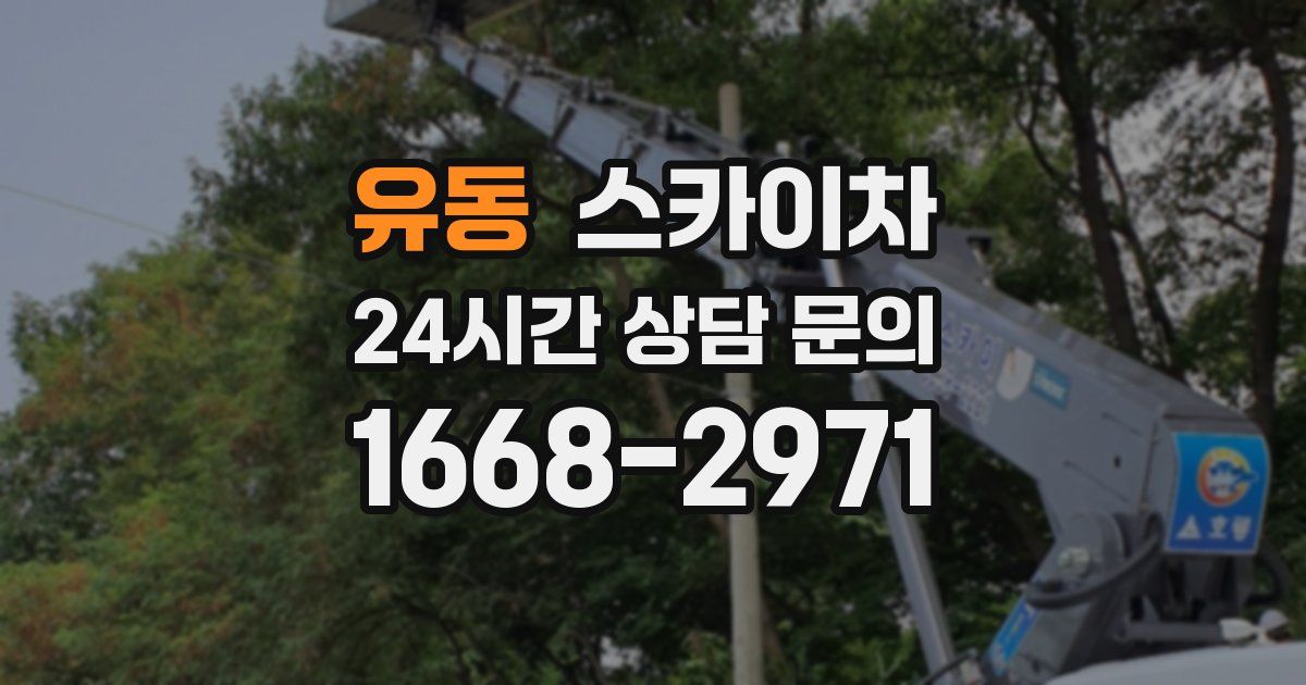 유동 스카이차