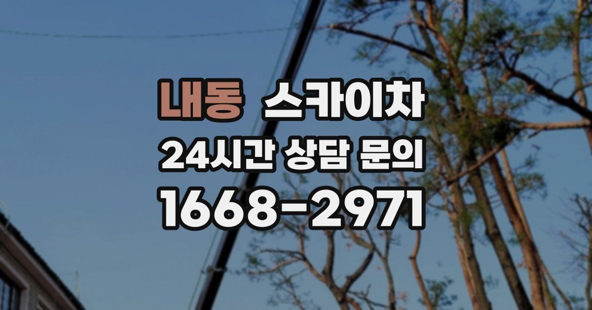 내동 스카이차