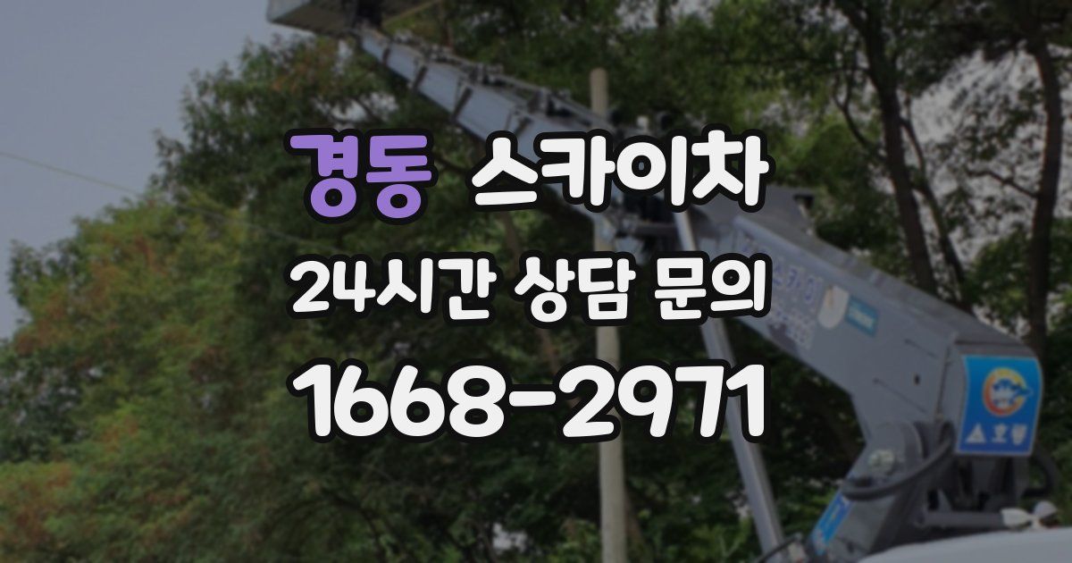 경동 스카이차