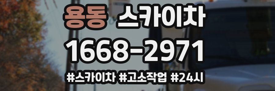 용동 스카이차