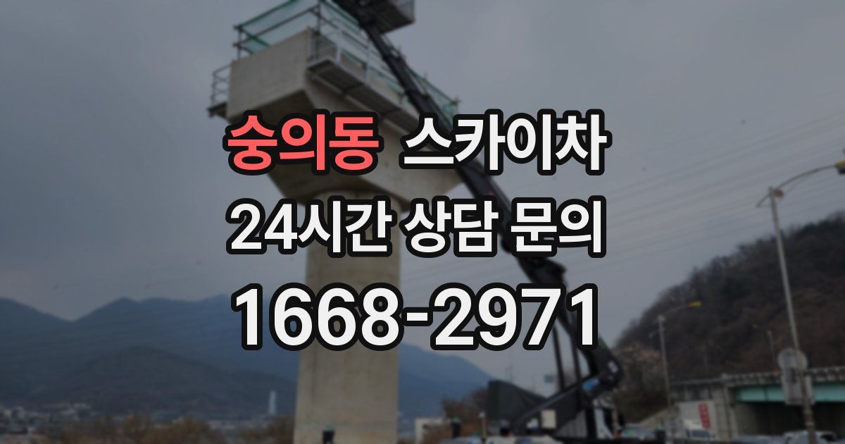 숭의동 스카이차