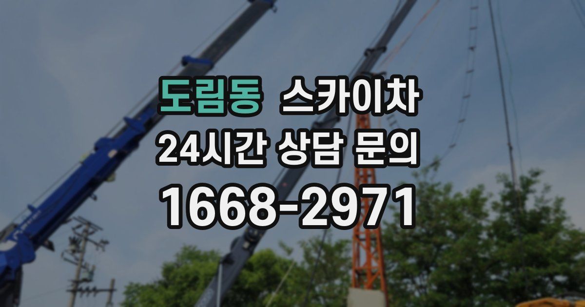 도림동 스카이차