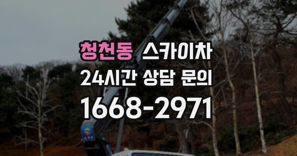 청천동 스카이차