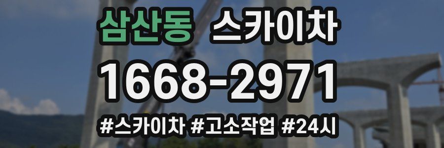 삼산동 스카이차