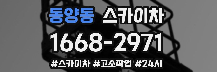 동양동 스카이차