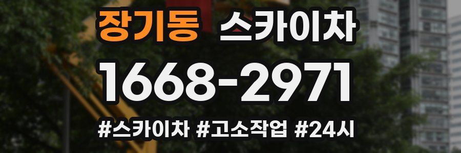 장기동 스카이차
