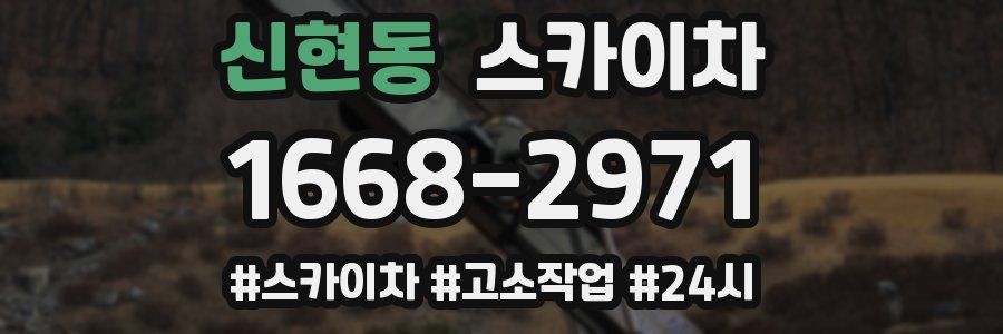 신현동 스카이차