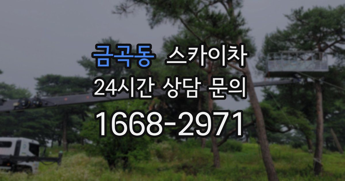 금곡동 스카이차